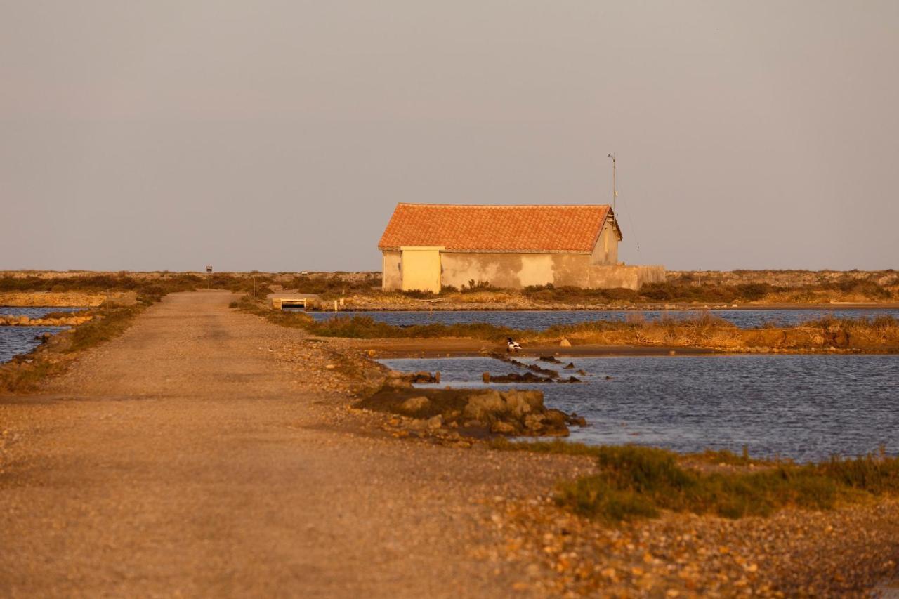 Vvf Narbonne-Plage Saint-Pierre-La-Mer Fleury  Exteriér fotografie